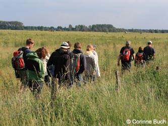 Bislicherinsel120610_CB08.jpg
