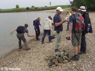 Bislicherinsel120610_TK18.jpg