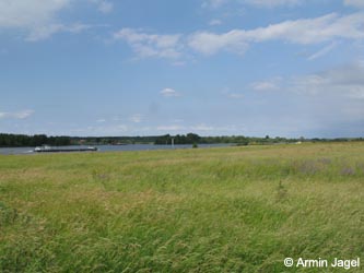 Bislicherinsel120610_ja12.jpg
