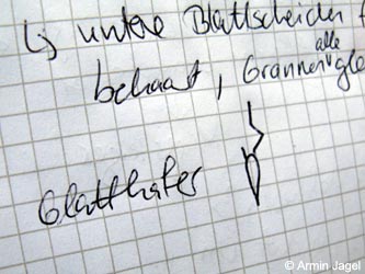 Bislicherinsel120610_ja26.jpg