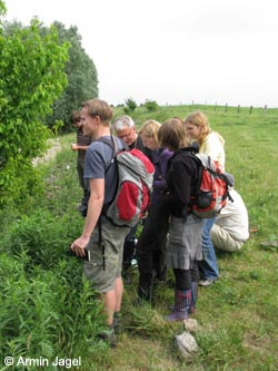 Bislicherinsel120610_ja49.jpg
