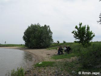 Bislicherinsel120610_ja54.jpg