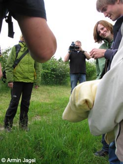 Bislicherinsel120610_ja90.jpg