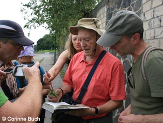 KrefeldHafen_110910_CB48.jpg