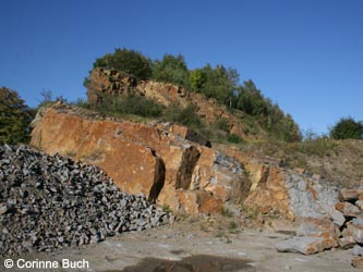 MHRauen101010_CB09.jpg