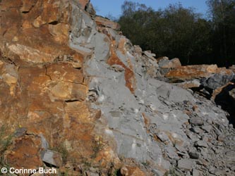 MHRauen101010_CB11.jpg