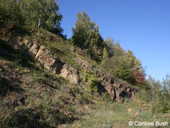MHRauen101010_CB43.jpg