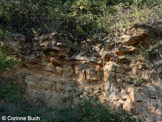 MHRauen101010_CB57.jpg