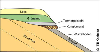 MHRauen101010_TK01.jpg