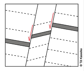 MHRauen101010_TK02.jpg