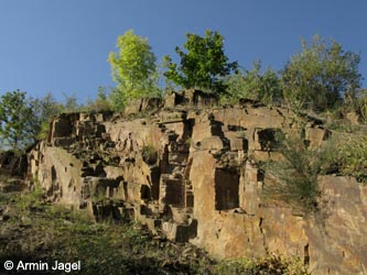 MHRauen101010_ja11.jpg