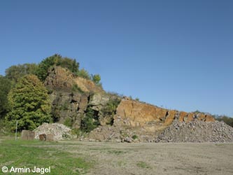 MHRauen101010_ja16.jpg