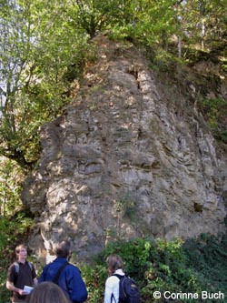 MHRauen101010_ja75.jpg