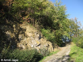MHRauen101010_ja76.jpg