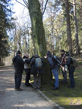 Aachen_Waldfriedhof_250218_ja03.jpg