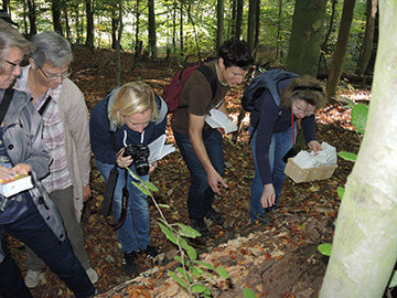 BOBergenPilze_141018_ja16.jpg