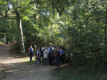 BOBergenPilze_141018_ja19.jpg
