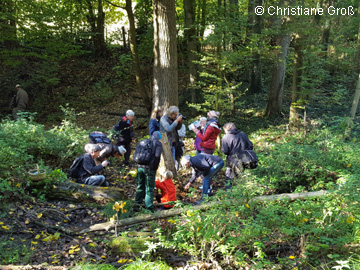 BOMailand_161016_Pilze_CGross07.jpg