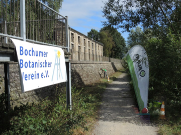 BOStiepelMauer_030916_ja42.jpg