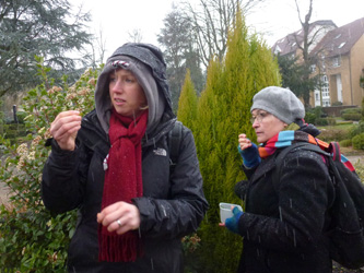 BOWeitmarFranziskusfriedhof_060316_ho24.jpg