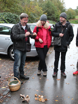 BO_Koenigsbuescher_Waeldchen_Pilze_CB01.jpg