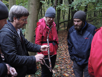 BO_Koenigsbuescher_Waeldchen_Pilze_ja11.jpg