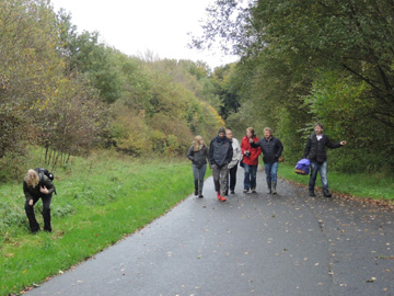 BO_Koenigsbuescher_Waeldchen_Pilze_ja13.jpg