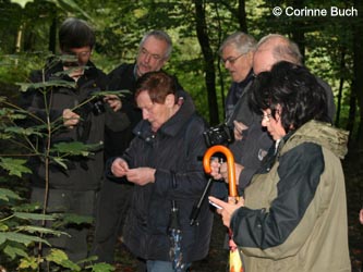 BoevinghauserBachtal141012_CB10.jpg