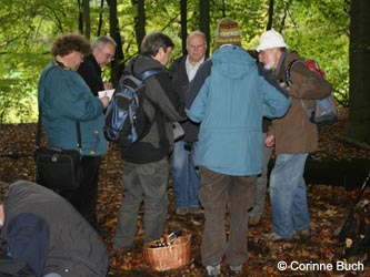 BoevinghauserBachtal141012_CB47.jpg