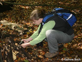 BoevinghauserBachtal141012_CB49.jpg