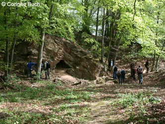 BrilonerHochflaeche260409_CB22.jpg