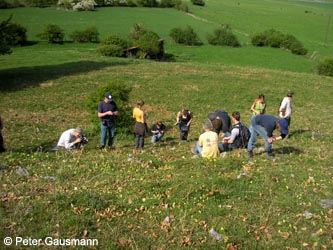BrilonerHochflaeche260409_PG20.jpg