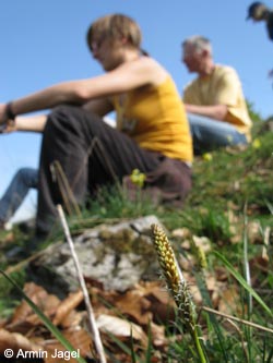 BrilonerHochflaeche260409_ja28.jpg