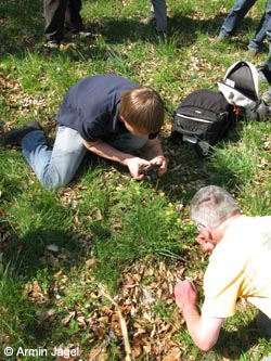BrilonerHochflaeche260409_ja29.jpg