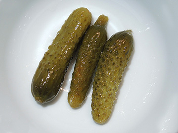 Cucumis_sativus_121018_ja01.jpg