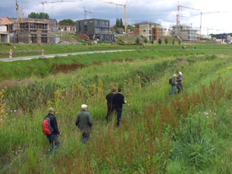 DOPhoenixsee210712_Emscher_TK17.jpg