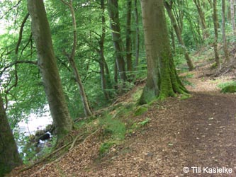 Eifel2012_03_Laacher_See_070612_TK57.jpg