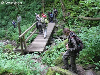 Eifel2012_07_Mosenberg090612_ja07.jpg