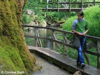 Eifel2012_09_DreimuehlenerWasserfall100612_CB01.jpg