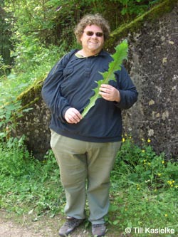 Eifel2012_09_Dreimuehlener_Wasserfall_100612_TK07.jpg