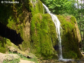 Eifel2012_09_Dreimuehlener_Wasserfall_100612_TK16.jpg