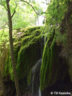 Eifel2012_09_Dreimuehlener_Wasserfall_100612_TK30.jpg