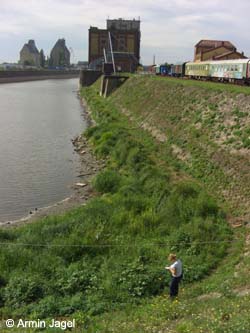 Elbe2008_3_ja12.jpg