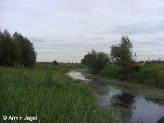 Elbe2008_5_ja33.jpg