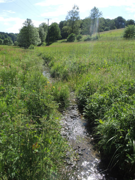 Feldbachtal_Remscheid_Feldbachtal_101017_ja02.jpg