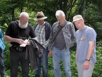 HagenFarne_130713_ja33.jpg