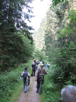 HagenFarne_130713_ja34.jpg