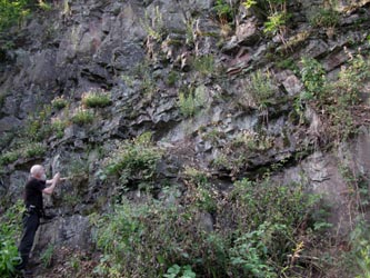 HagenFarne_130713_ja38.jpg