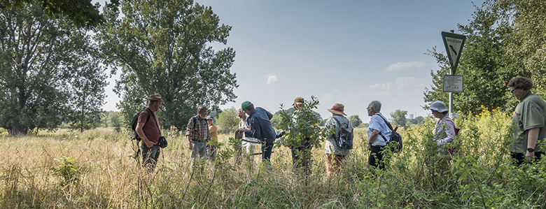 Lippborg_Lippeaue_250819_BM03.jpg