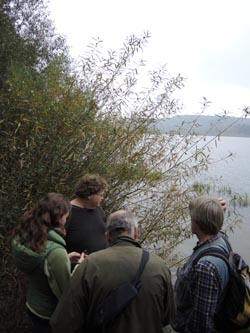 Moehnesee_051014_ja27.jpg
